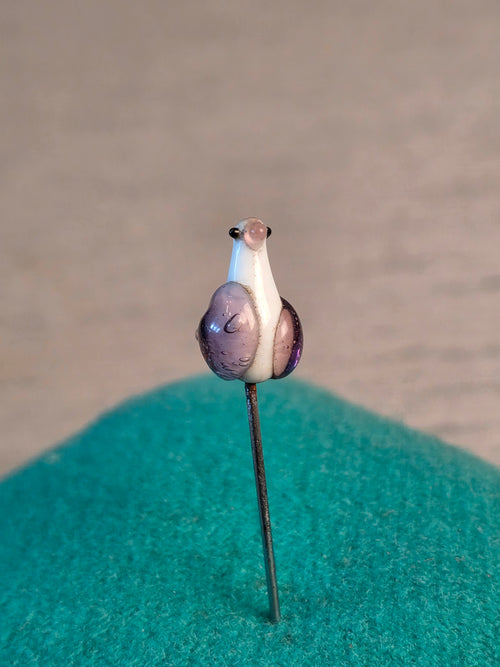Needle-case bird