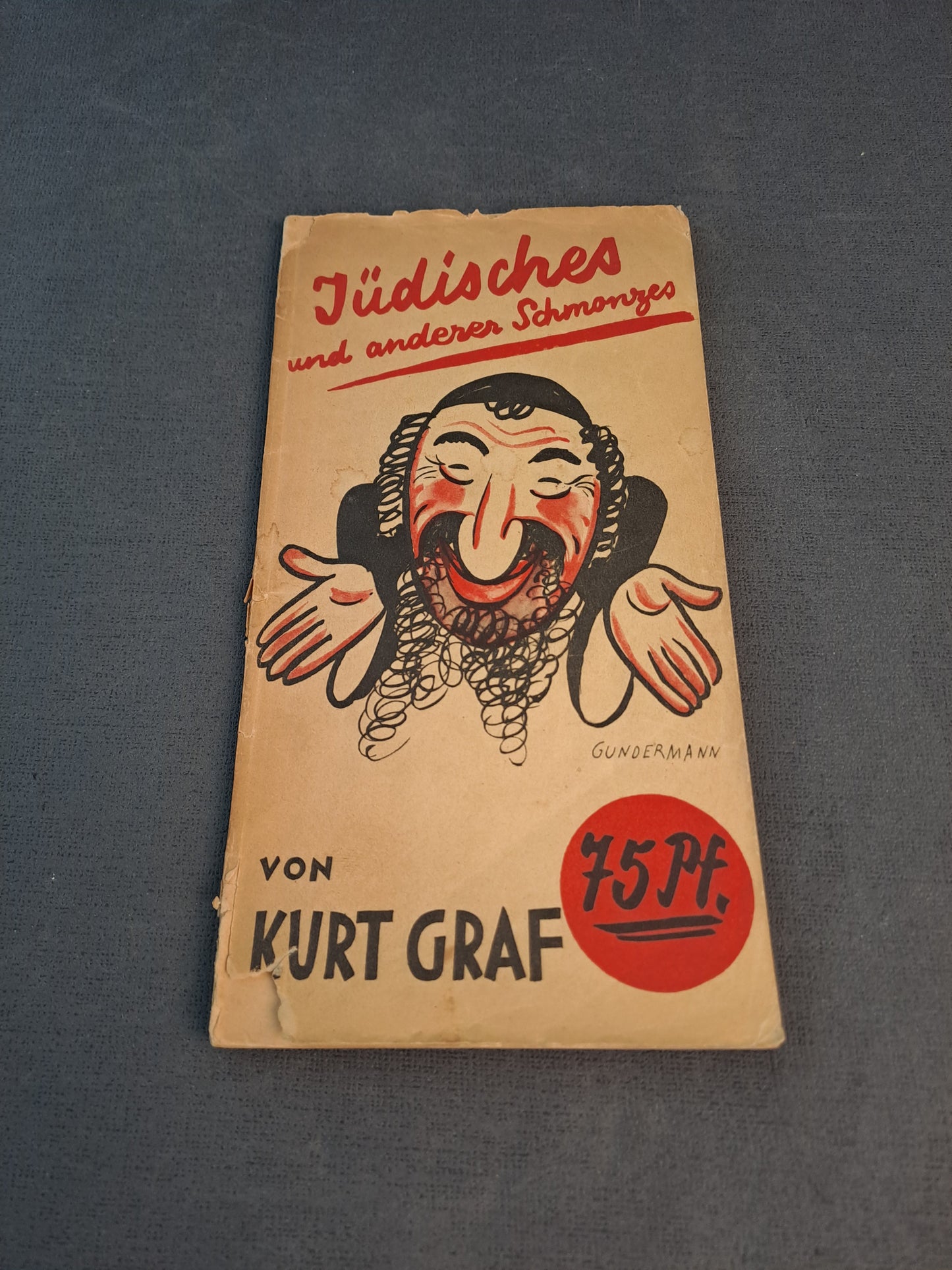 WW2 Anti Jewish Propaganda Book /WW2 Anti Jødisk Propaganda Bog