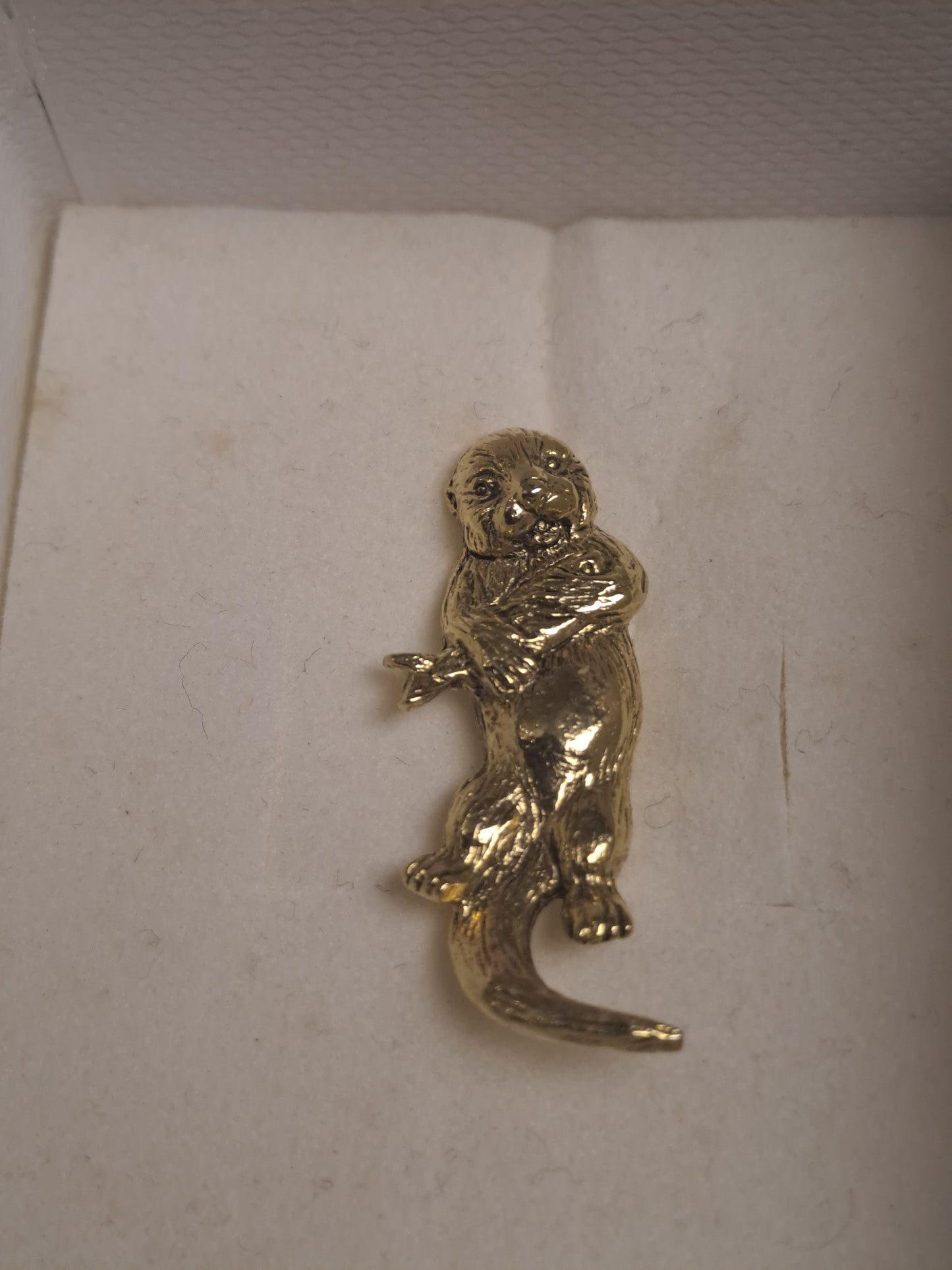 Broches 24K Gold Plated