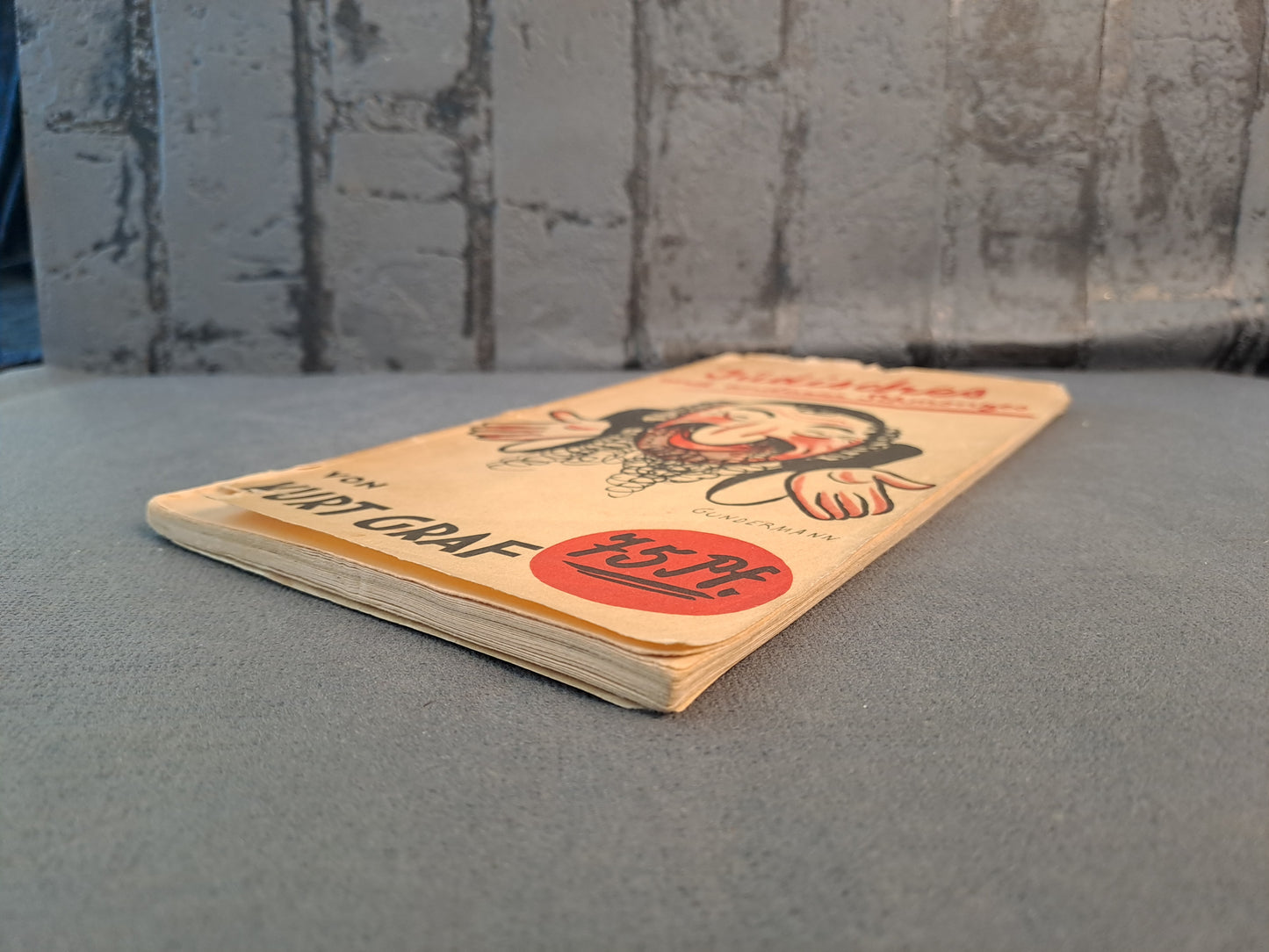 WW2 Anti Jewish Propaganda Book /WW2 Anti Jødisk Propaganda Bog