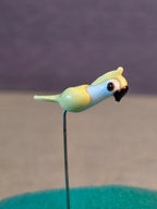 Tweezers Parrot