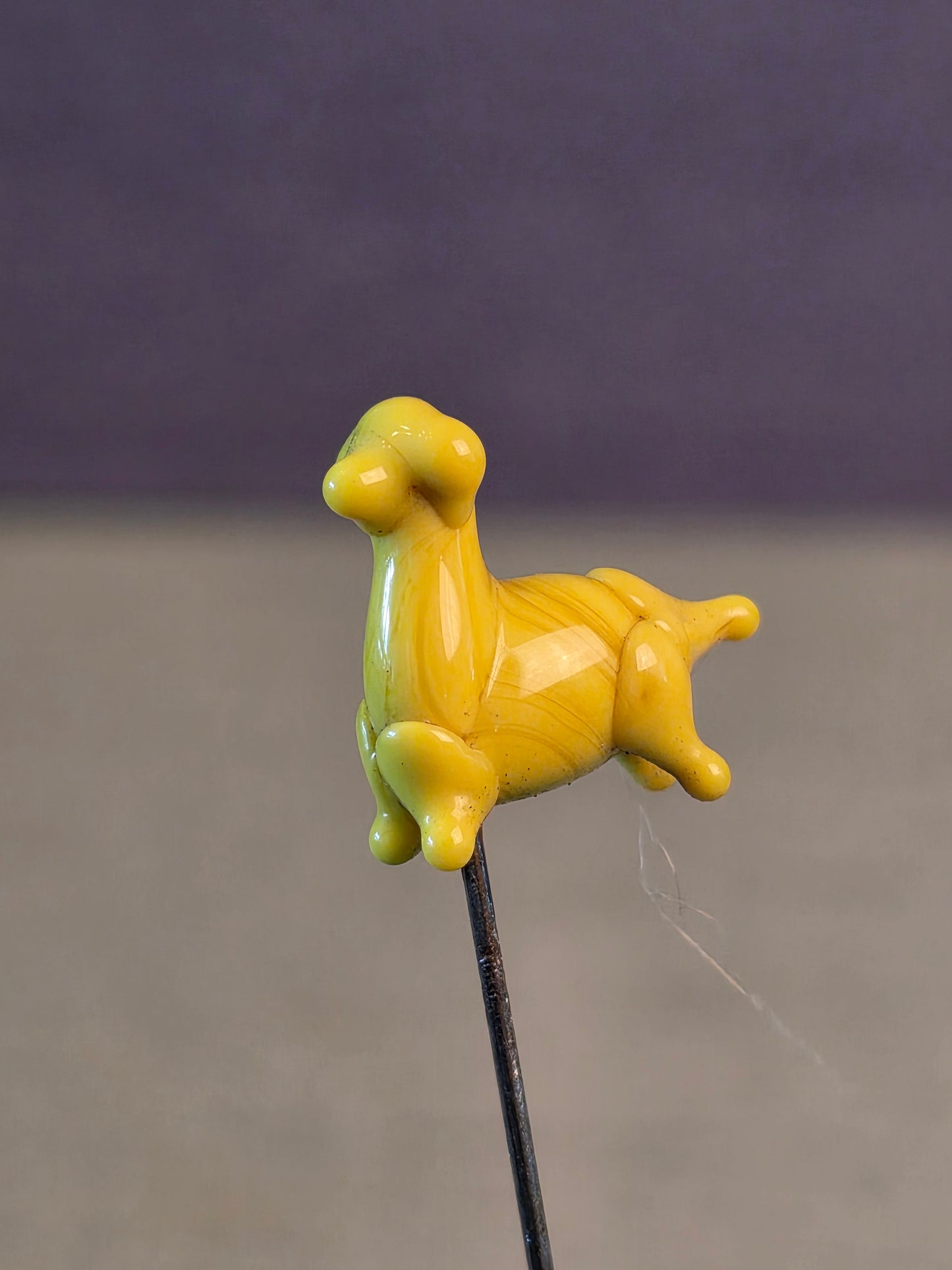 Nipsenål Hund
