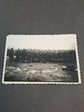Original WWII Photo