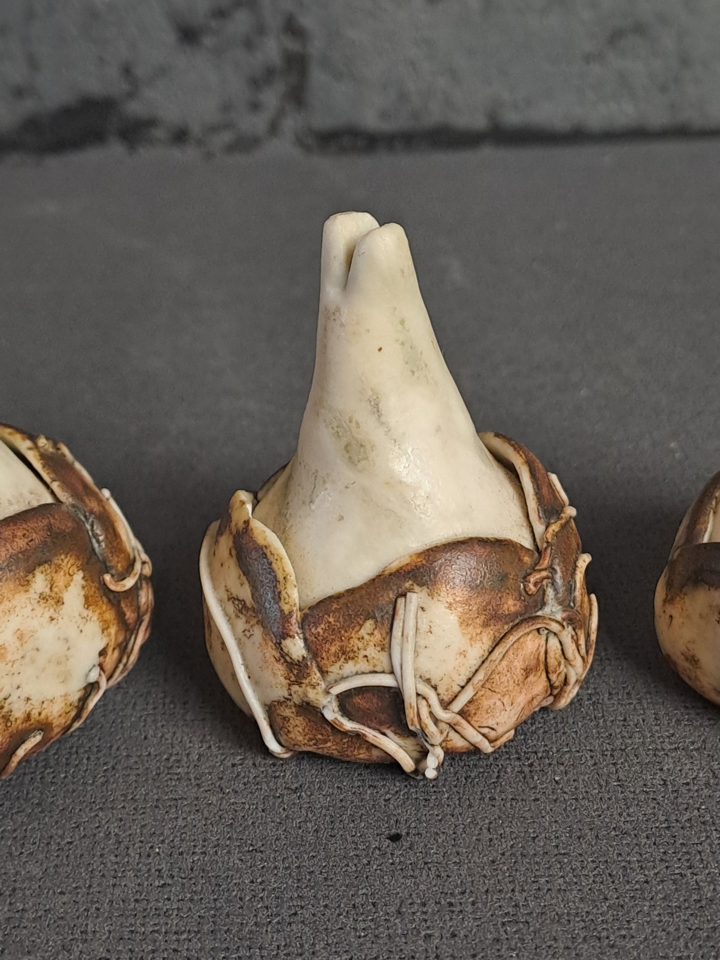 Ceramic Flower Bulbs