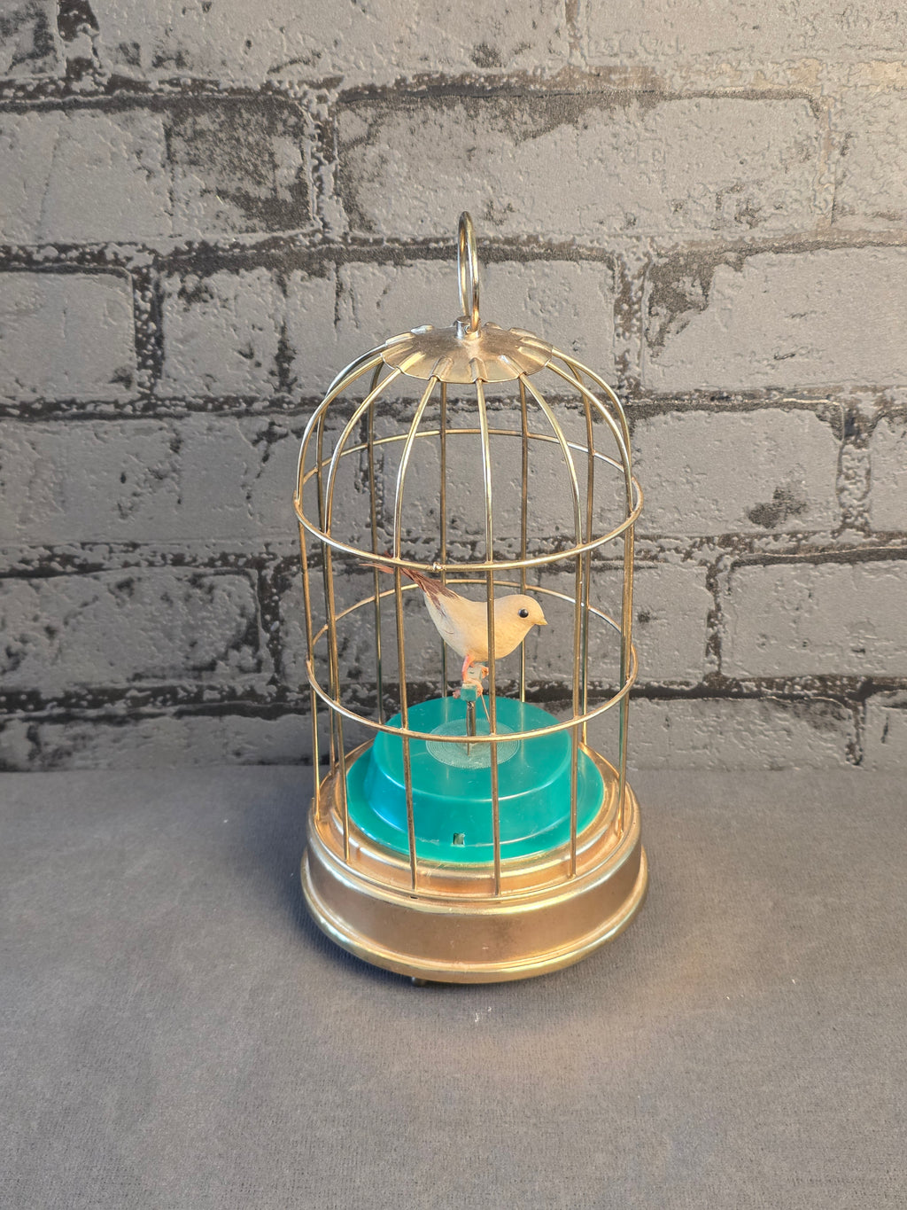 Mechanical Bird in a Cage