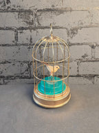 Mechanical Bird in a Cage
