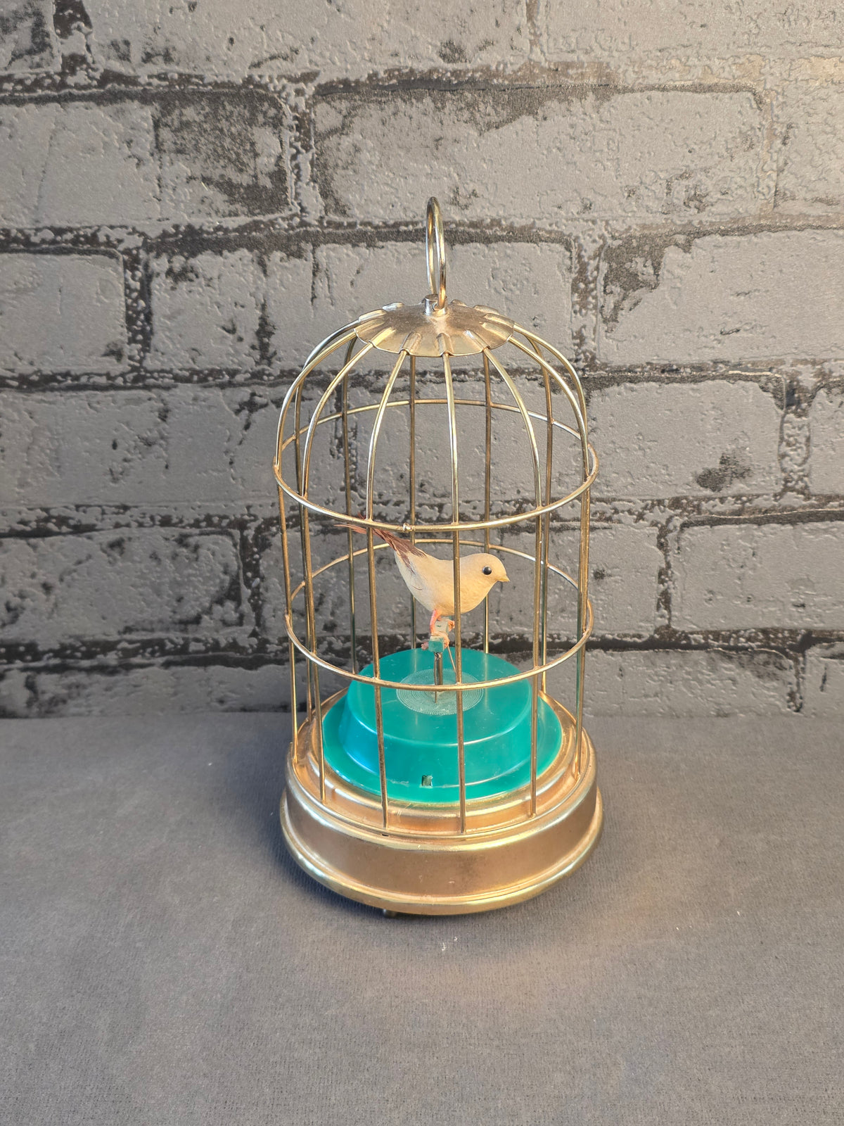 Mechanical Bird in a Cage