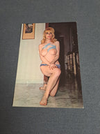 Vintage Postcard / Vintage Postkort